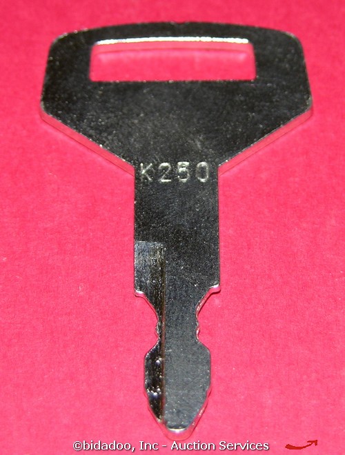 Large Image