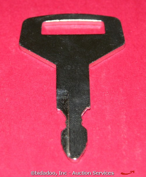 Large Image